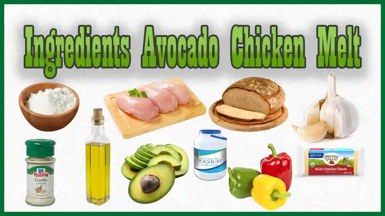 avocado recipes meals try - ingredients avocado chicken melt